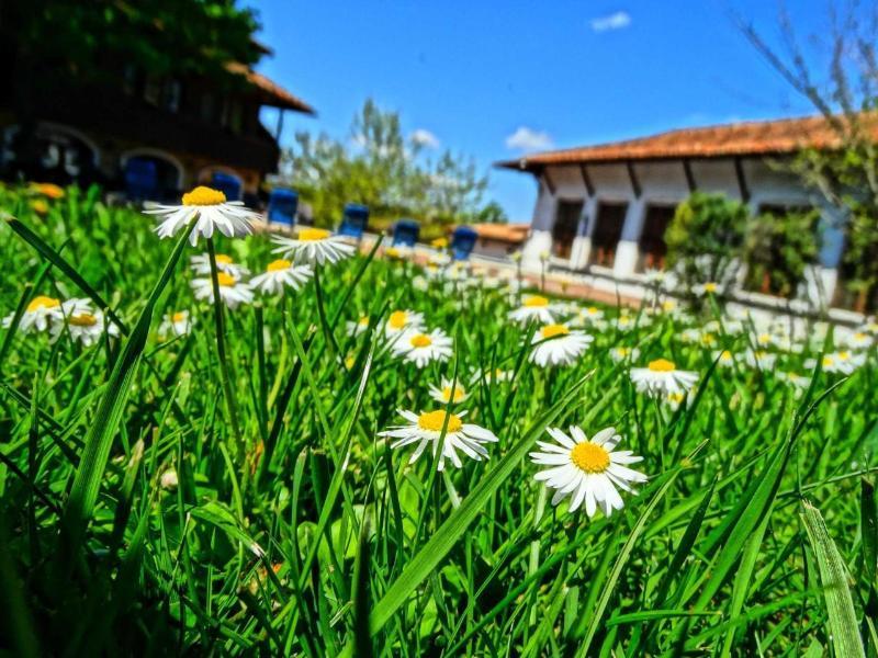Hotel Izvora - Garden Retreat Arbanasi Exterior foto